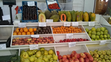 Imagem de Comerciantes pedem obras no mercado de Santa Cruz