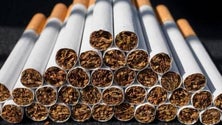 Imagem de Mais de 21 milhões de cigarros apreendidos no porto de Setúbal