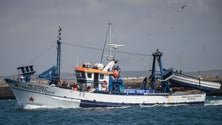Imagem de Frota de pesca sem financiamento (áudio)