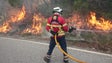 Imagem de Incêndios: Cerca de 50 concelhos de nove distritos em perigo máximo