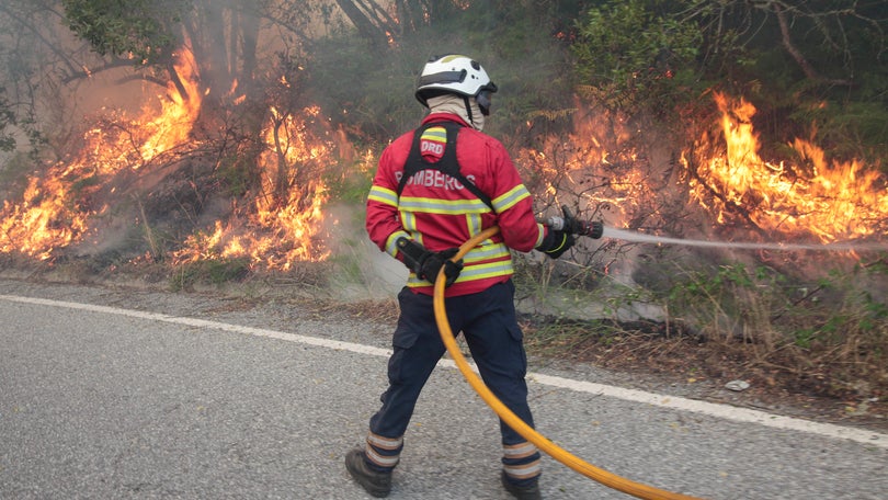 Imagem de Incêndios: Cerca de 50 concelhos de nove distritos em perigo máximo