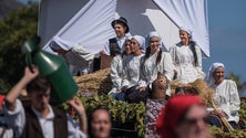 Imagem de Festa do Vinho encanta nas ruas do Funchal
