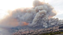 Imagem de Meteorologia e orografia da Madeira favorecem grandes incêndios