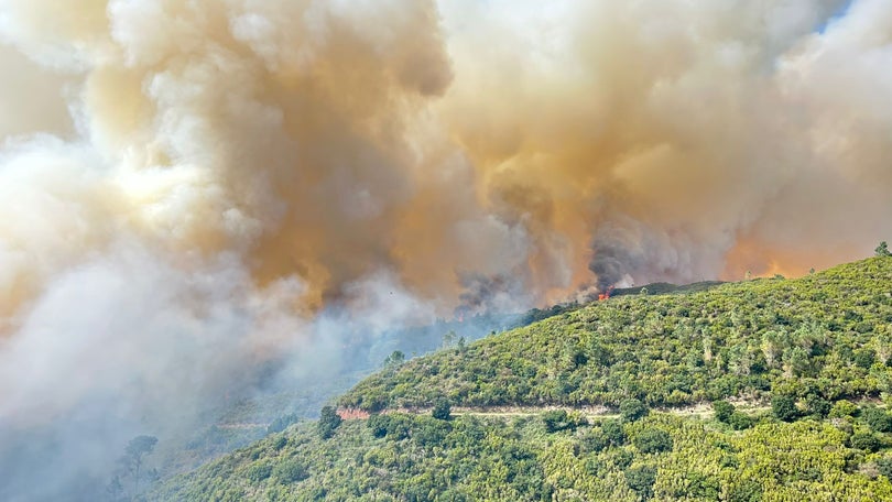 Mais de metade do concelho da Calheta já ardeu