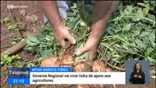 Agricultores vão ter apoio face ao aumento dos custos (vídeo)