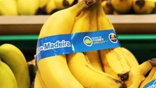 Imagem de Produção de banana da Madeira cresceu 29,2% em 2019 (Vídeo)