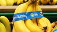 Produção de banana da Madeira cresceu 29,2% em 2019 (Vídeo)