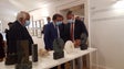Imagem de Ricardo Velosa tem nova exposição patente no Centro Cultural da Quinta Magnólia (Áudio)