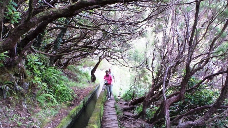 Turista morreu após queda quando fazia percurso pedestre na Calheta, Madeira