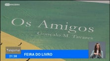 Arrancou a primeira feira do livro em Santa Cruz (vídeo)