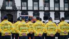 Imagem de Mais de 380 trabalhadores do Funchal vacinados