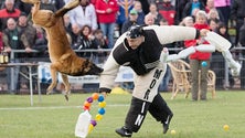 Imagem de Prova de Mondioring chega à Madeira em julho