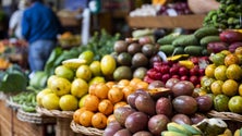 Imagem de Leilão para venda de hortofrutícolas decorre amanhã  (áudio)