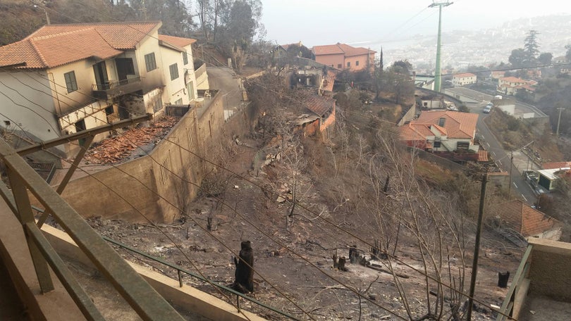 Aprovado apoio extraordinário à habitação para famílias afetadas por fogos na Madeira