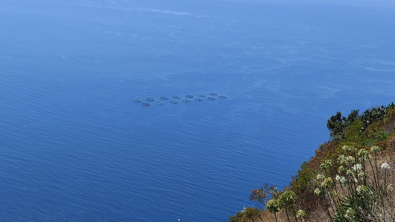 Apoio aos setores da pesca e aquicultura com 966 candidaturas