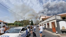 Imagem de «Parece uma cena de filmes, está muito muito grave» (áudio)