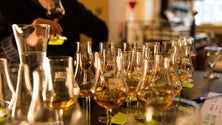 Imagem de Madeira vai estar presente no «2021 Rhum Fest Paris» (áudio)