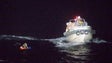 Imagem de Navio naufragou ao largo do Japão com 43 tripulantes e 6.000 vacas a bordo