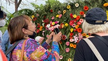 Muro da Solidariedade na Festa da Flor (vídeo)