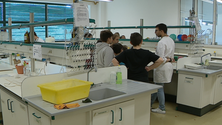 Imagem de A Química é divertida contou este ano com 424 alunos (vídeo)