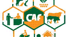 Imagem de Cooperativa Agrícola do Funchal projeta fábrica de rações