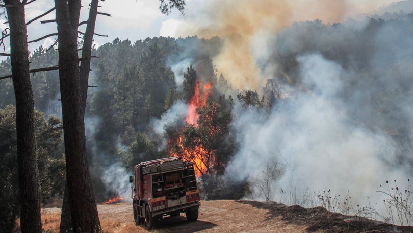 PJ deteve suspeito de atear fogos em Montalegre