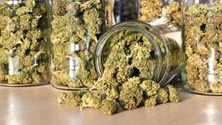 Imagem de Quatro homens detidos por tráfico de drogas leves