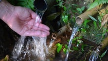 Pontos de captação de água na Terceira vão acabar contaminados por chumbo americano (Som)