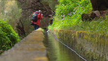 Madeira é o melhor destino insular do mundo (vídeo)