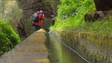 Imagem de Madeira é o melhor destino insular do mundo (vídeo)