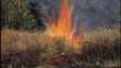 Proibição de fazer queimadas mantém-se até meados de novembro