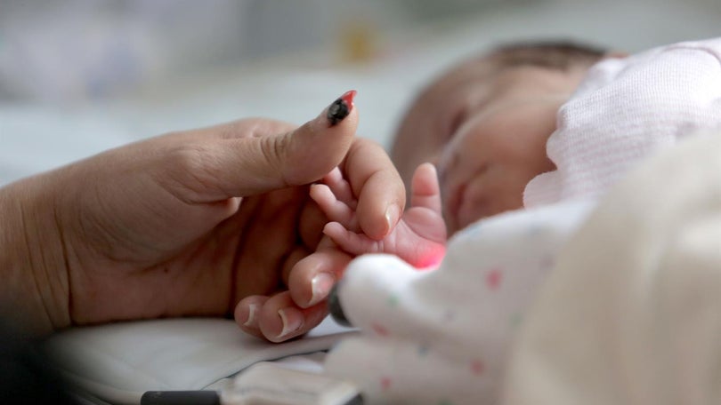 Imagem de Nascimentos aumentaram em mais 1.777 bebés