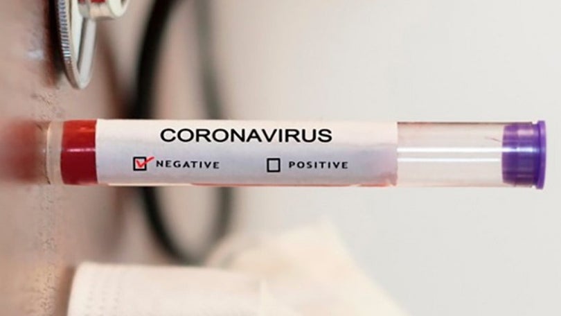 Imagem de Covid-19: Número de doentes recuperados cresce mais de 50% em Portugal