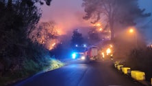Imagem de Incêndio na Fajã da Ovelha (vídeo)