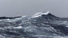 Ondas podem chegar aos 12 metros a norte da Madeira e no Porto Santo