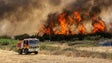 Imagem de Mais de 120 operacionais e dois meios aéreos combatem fogo em Montemor-o-Novo