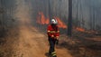 Mais de 34 milhões destinados ao combate aos incêndios