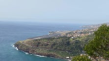 Imagem de Aeroportos da Madeira com movimento superior a 333 mil passageiros em fevereiro