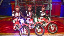 Imagem de Circo está de regresso (áudio)