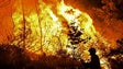 Imagem de Bombeiros de três corporações combatem incêndio na serra em Câmara de Lobos