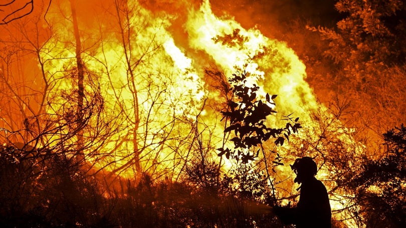 Bombeiros de três corporações combatem incêndio na serra em Câmara de Lobos