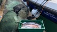 GNR aprendeu 25 quilos de pescado e rede