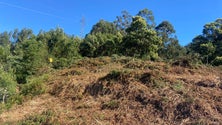 Imagem de Prada admite faixas corta fogo em mais municípios (vídeo)
