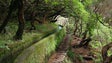 Imagem de Guias falam na falta de varandins na zona mais estreita da Levada das 25 Fontes