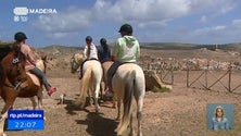 Passeios a cavalo dão a conhecer o Porto Santo