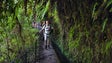 Imagem de Destino Madeira promovido em Espanha