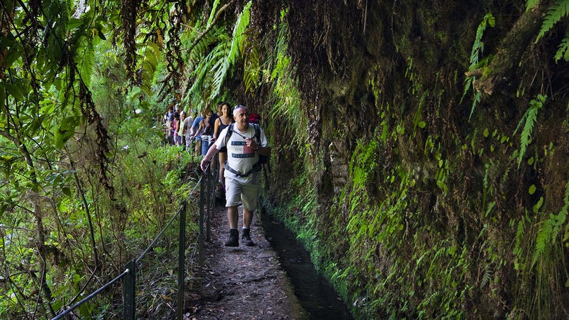 Imagem de Destino Madeira promovido em Espanha