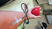 Alunos da Horta angariam 32 novos dadores de sangue (Vídeo)