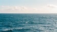 Centro de Divulgação do Mar Profundo da Madeira custará meio milhão (áudio)