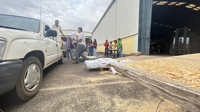 Agricultores que sofreram prejuízos com os incêndios já podem candidatar-se aos apoios